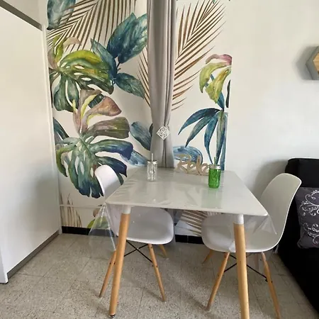 Grand Studio Cosy A 300m De La Mer Avec Parking Canet-en-Roussillon